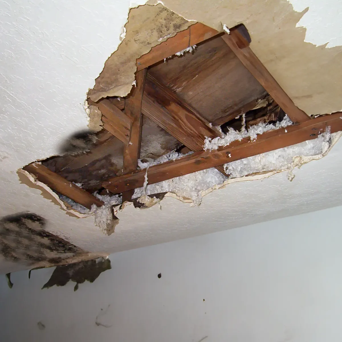 Water-Damaged-Ceiling maryland